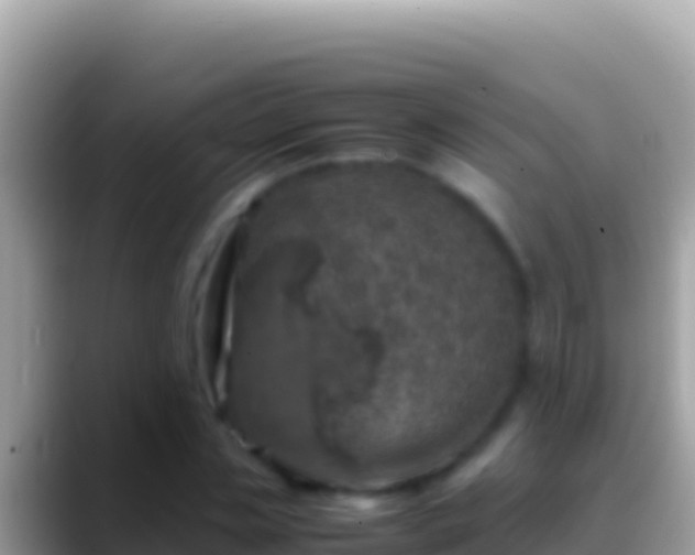 X0000088660829200706011238