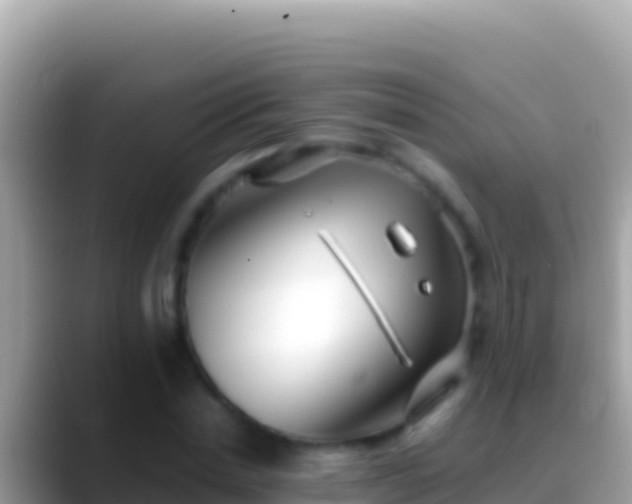 X0000088660830200706011238