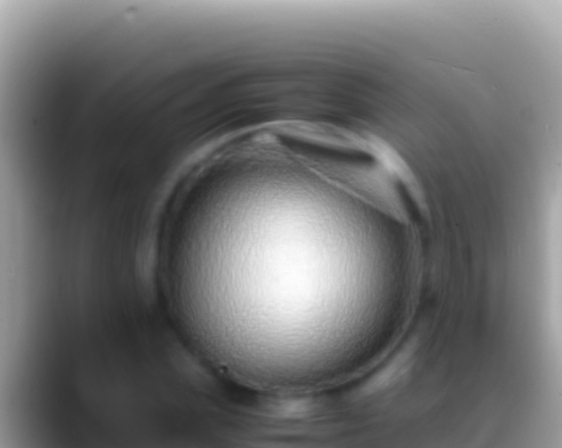 X0000088660831200706011238