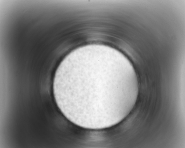 X0000088660832200706011238