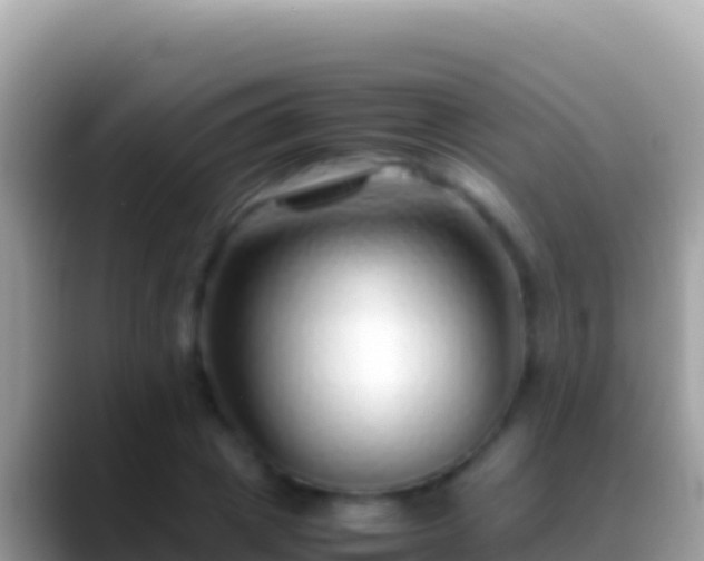 X0000088660833200706011238