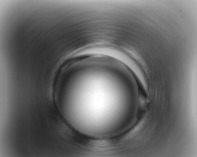 X0000088660834200706011238