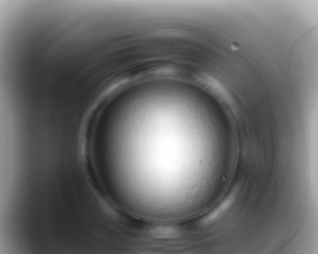 X0000088660835200706011238