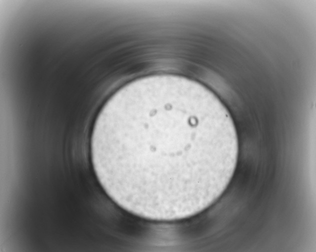 X0000088660836200706011238