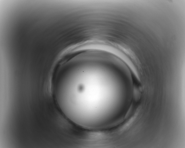 X0000088660838200706011238