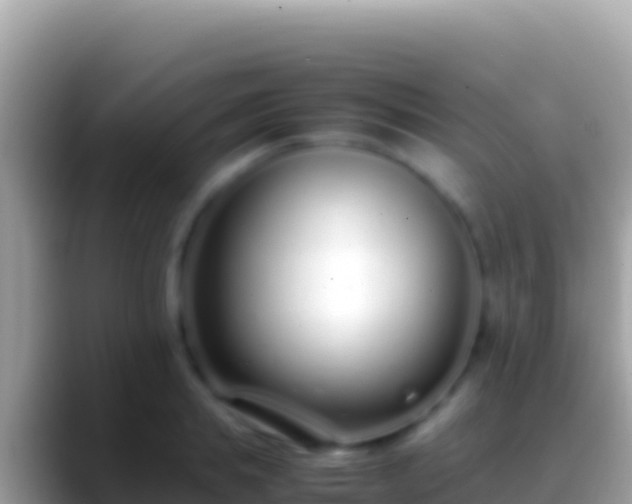 X0000088660839200706011238