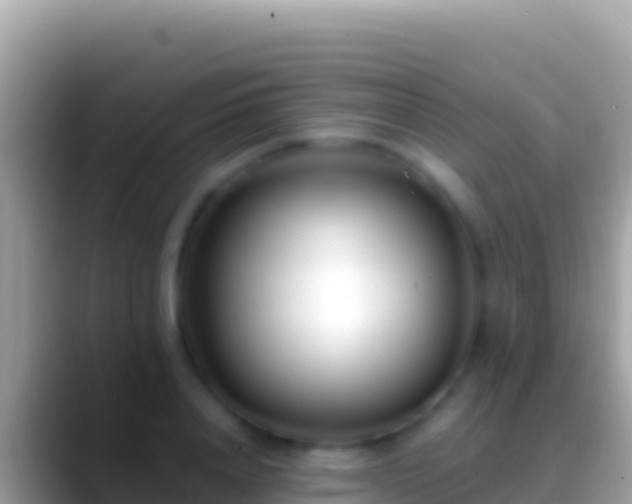 X0000088660840200706011238