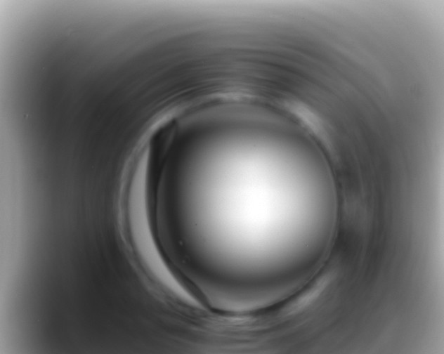 X0000088660845200706011238