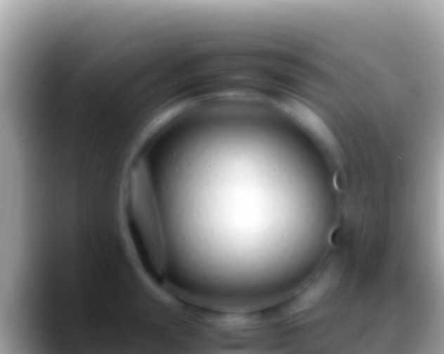 X0000088660847200706011238