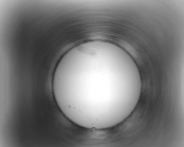 X0000088660848200706011238