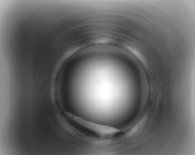 X0000088660850200706011238