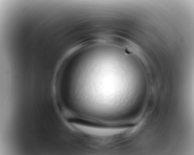 X0000088660855200706011238