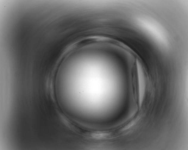 X0000088660861200706011238