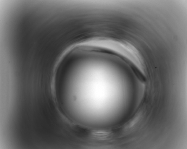 X0000088660863200706011238