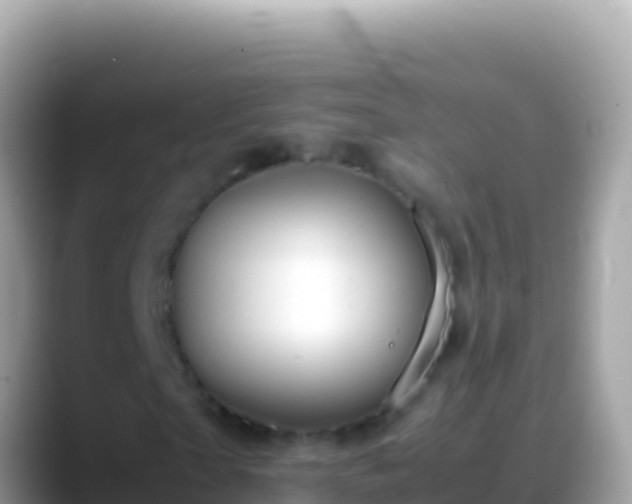 X0000088660865200706011238