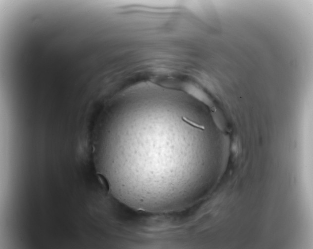 X0000088660867200706011238