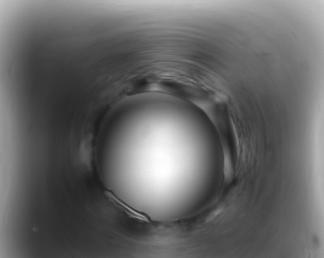 X0000088660868200706011238