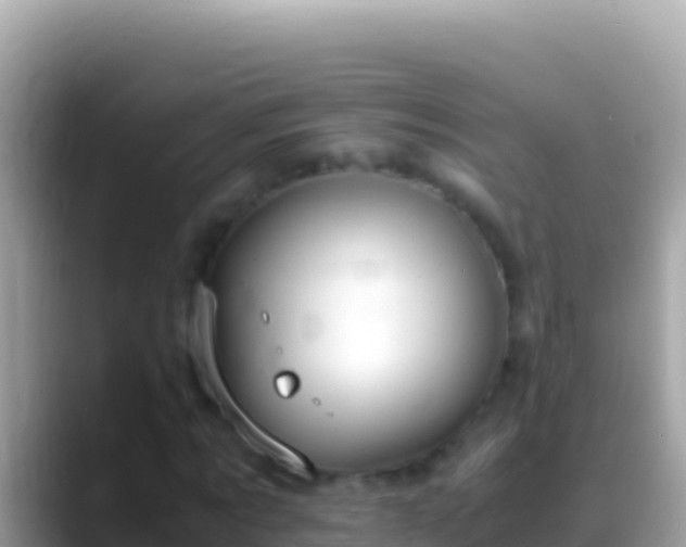 X0000088660869200706011238