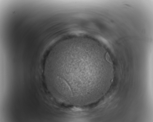 X0000088660871200706011238