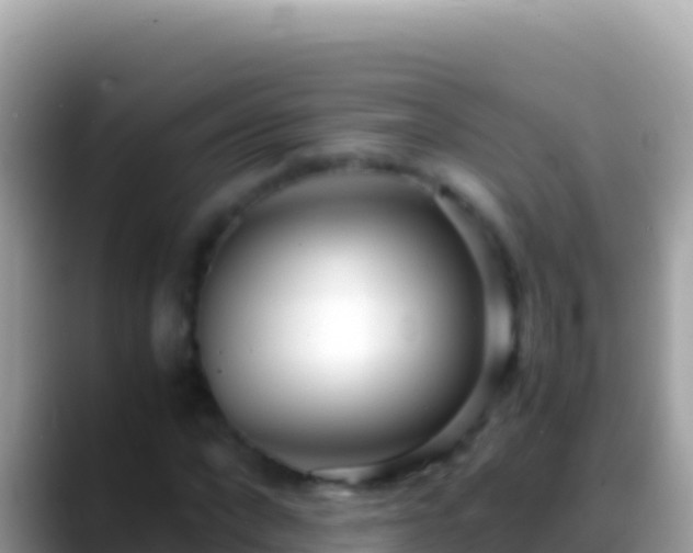 X0000088660872200706011238