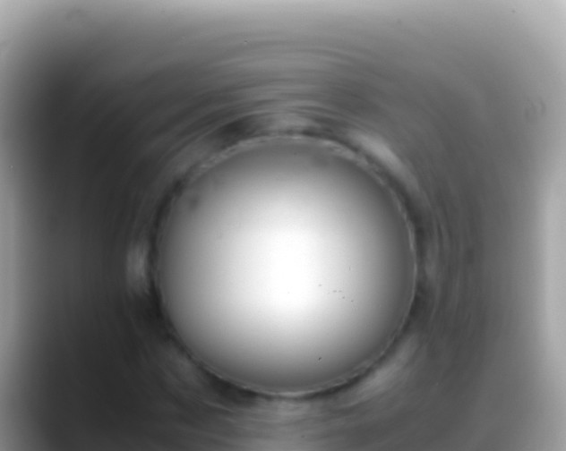 X0000088660873200706011238