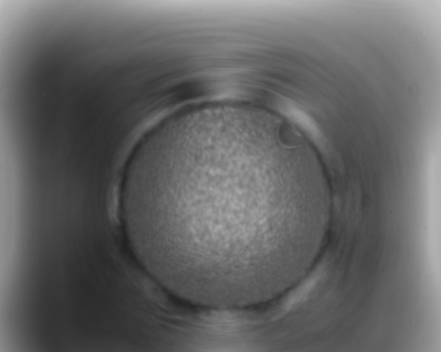 X0000088660875200706011238