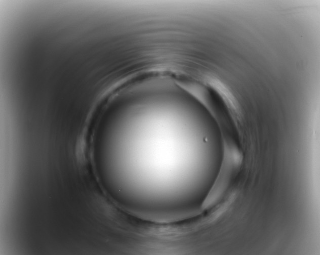 X0000088660876200706011238