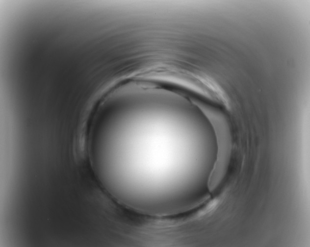 X0000088660877200706011238