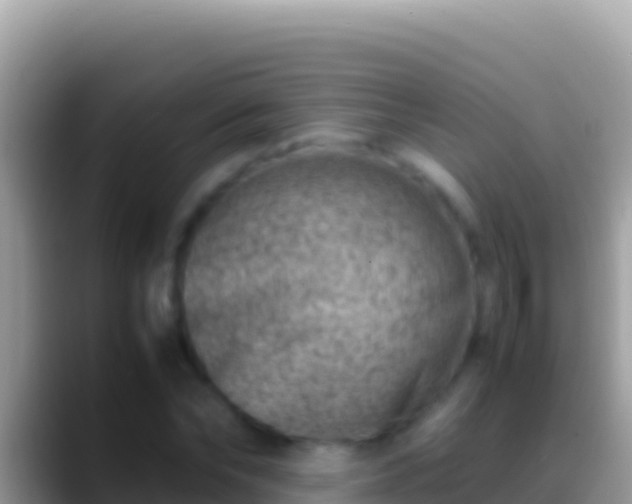 X0000088660878200706011238