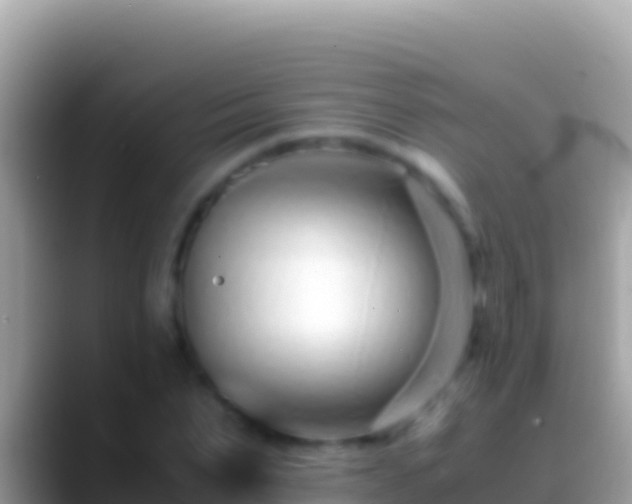 X0000088660879200706011238