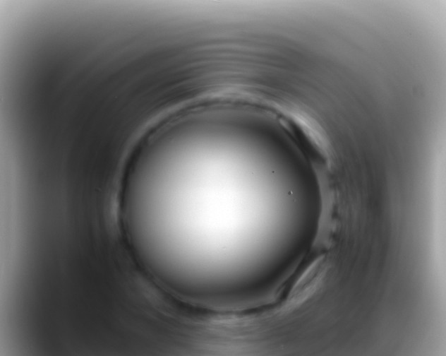 X0000088660880200706011238