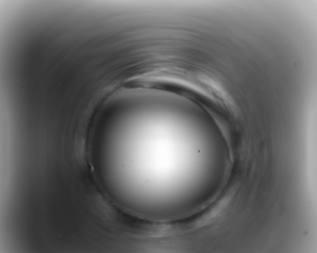 X0000088660881200706011238