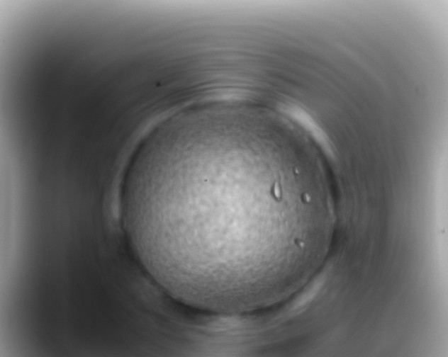 X0000088660883200706011238