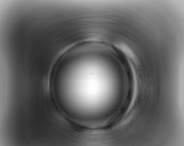 X0000088660884200706011238