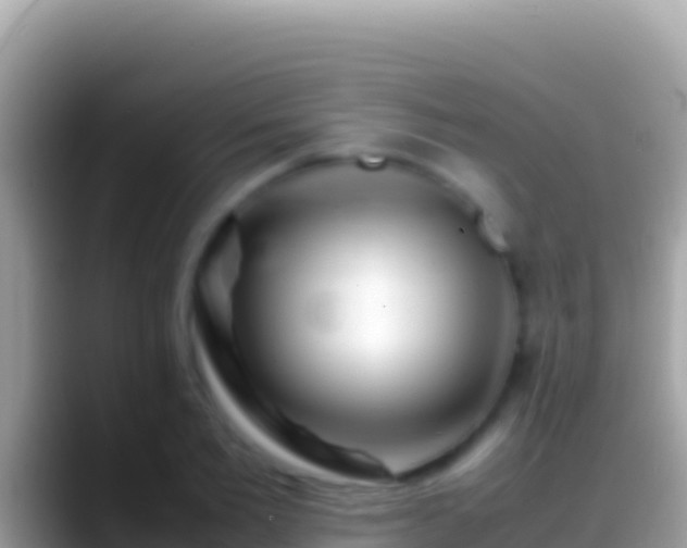 X0000088660885200706011237