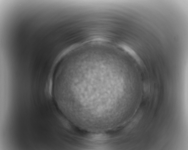 X0000088660886200706011237