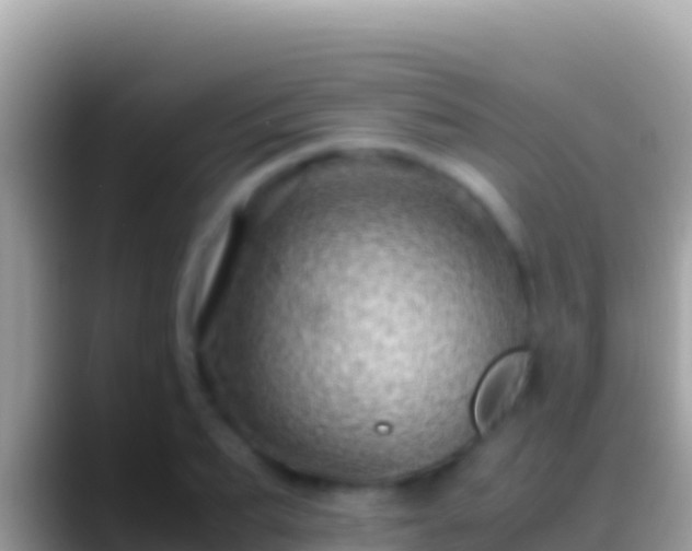 X0000088660887200706011237