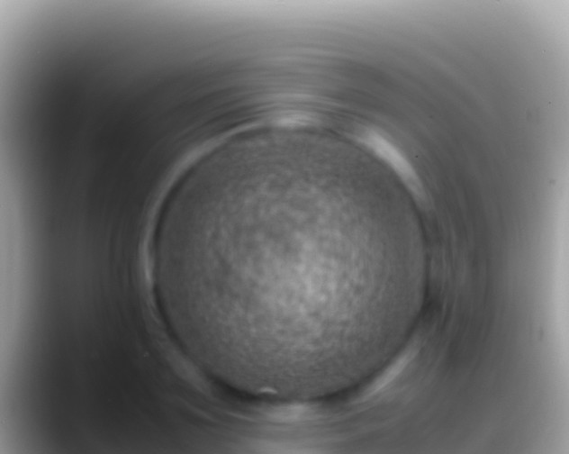 X0000088660891200706011237