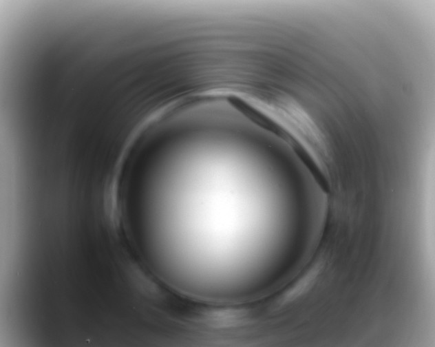 X0000088660892200706011237