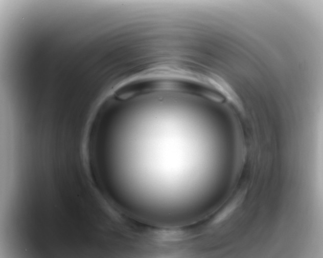 X0000088660893200706011237