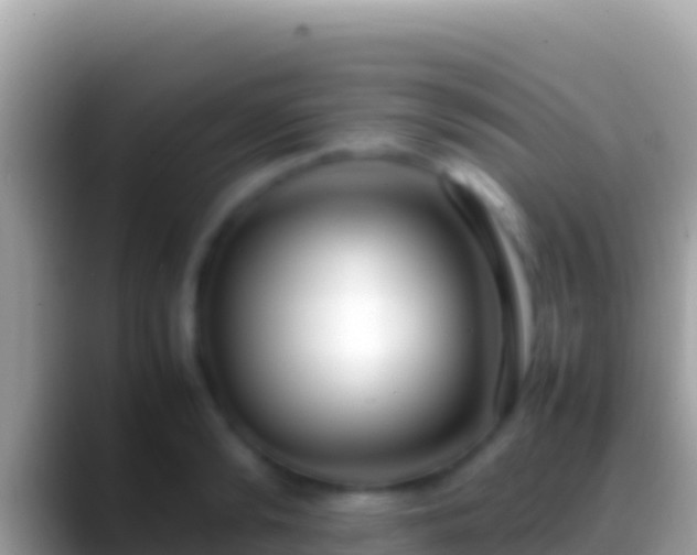 X0000088660894200706011237