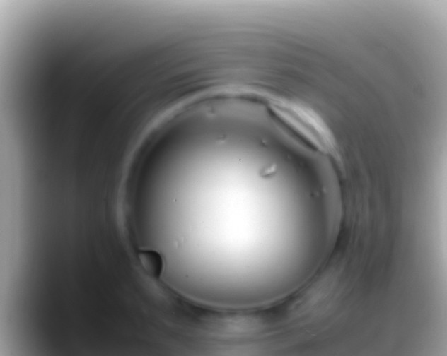 X0000088660895200706011237