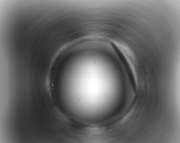 X0000088660896200706011237