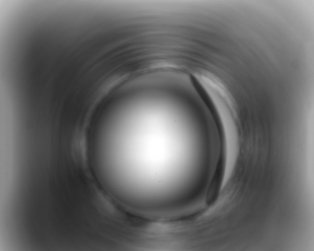 X0000088660898200706011237