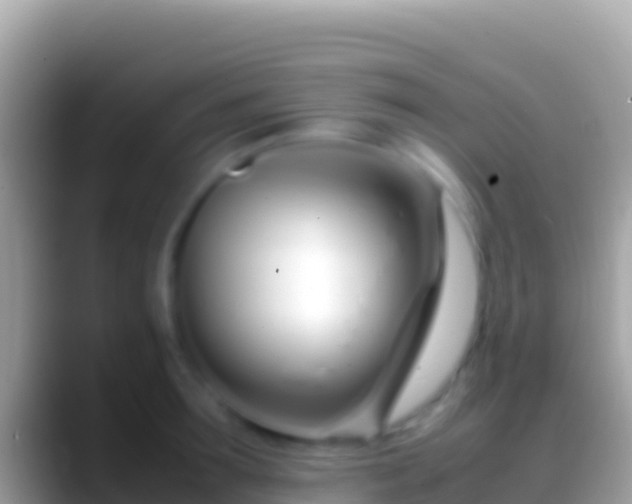 X0000088660899200706011237