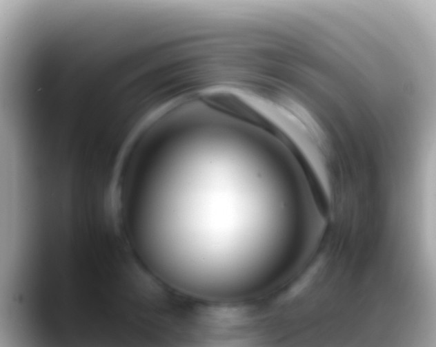 X0000088660900200706011237