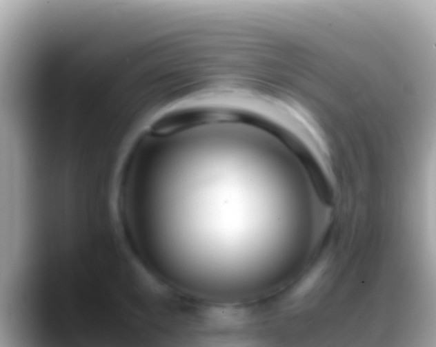 X0000088660901200706011237