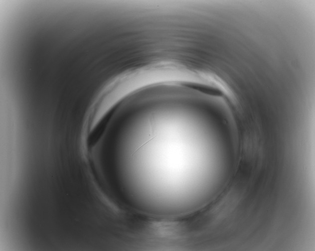 X0000088660902200706011237