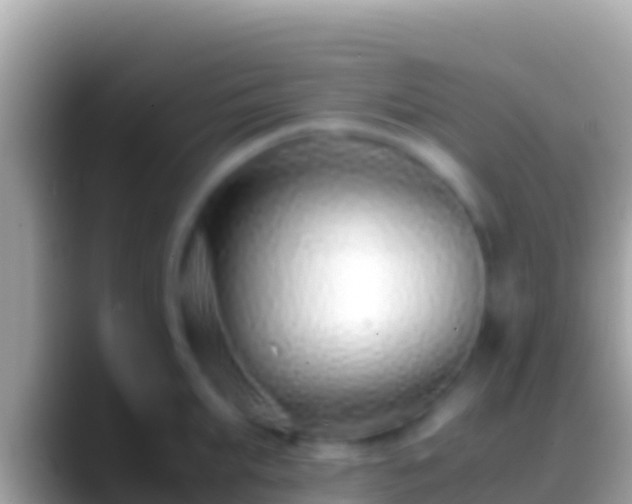 X0000088660903200706011237