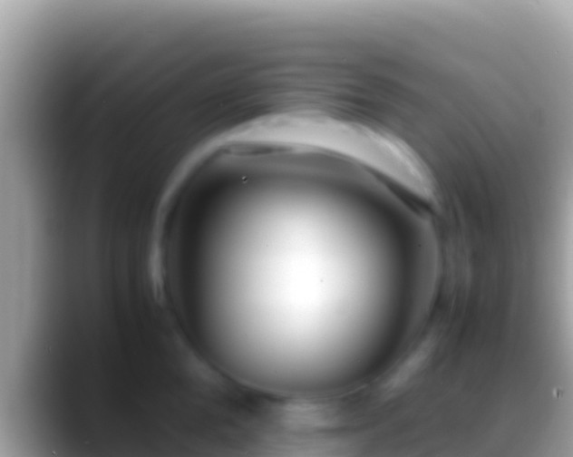 X0000088660904200706011237